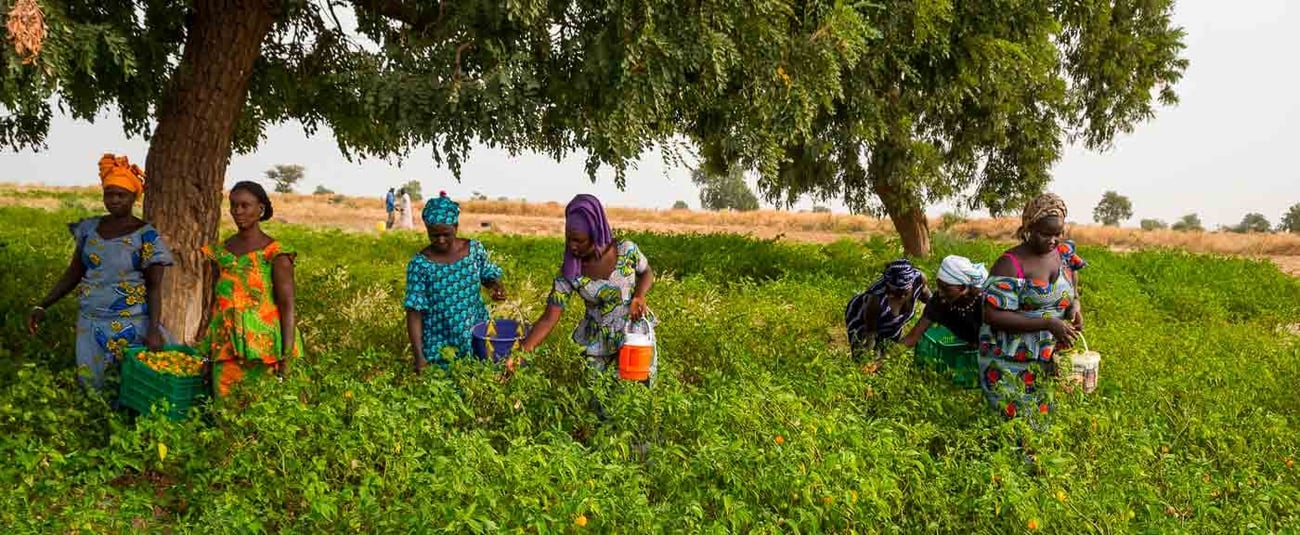 autonomisation-femme-senegal